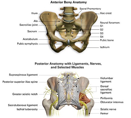 sacral ila