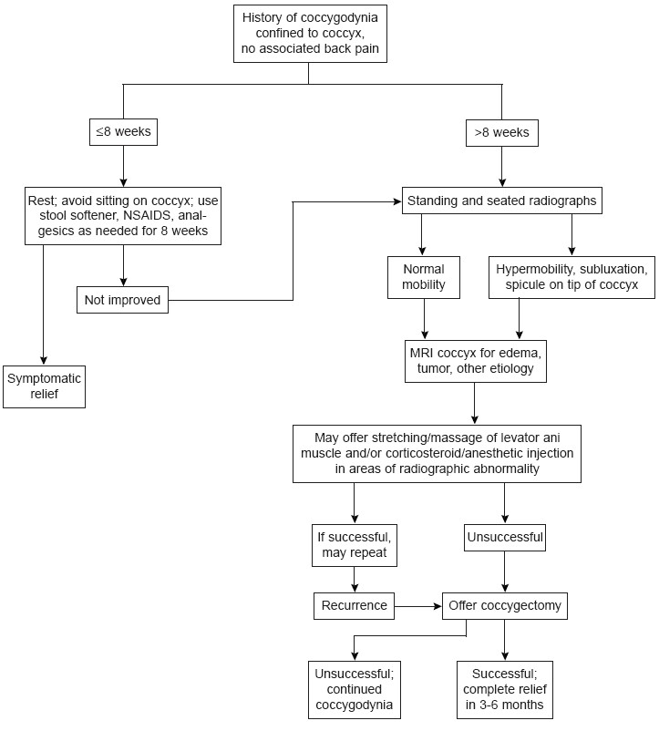 Coccygodynia 2